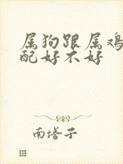 属狗跟属鸡的婚配好不好