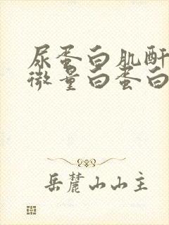 尿蛋白肌酐和尿微量白蛋白的区别