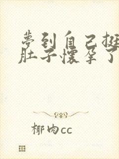 梦到自己挺着大肚子怀孕了什么寓意