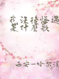 我没后悔遇见你是什么歌