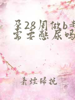 孕28周做b超需要憋尿吗