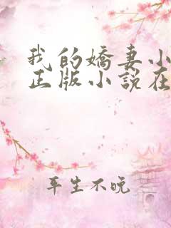 我的娇妻小欣儿正版小说在线阅读