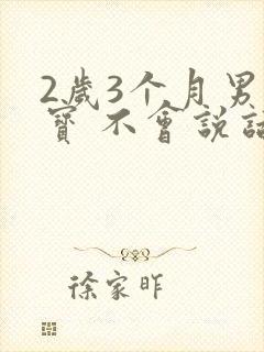 2岁3个月男宝宝 不会说话