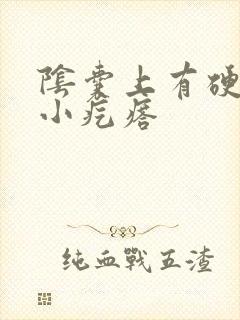 阴囊上有硬硬的小疙瘩