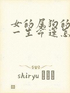 女的属狗的女的一生命运怎么样
