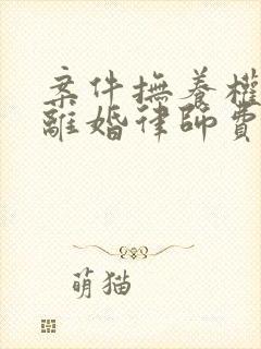 案件抚养权诉讼离婚律师费