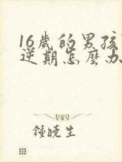 16岁的男孩叛逆期怎么办