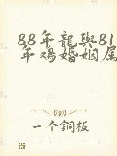 88年龙与81年鸡婚姻属相相配