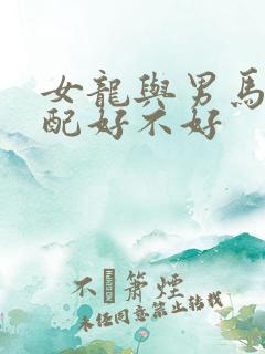 女龙与男马的婚配好不好