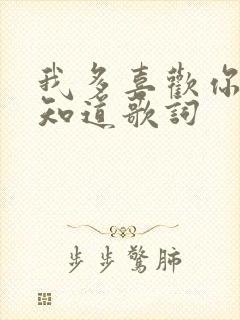 我多喜欢你你会知道歌词