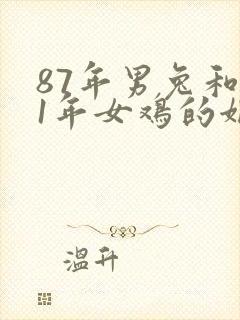 87年男兔和81年女鸡的姻缘