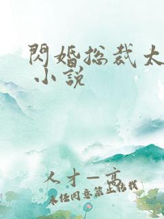 闪婚总裁太霸道 小说