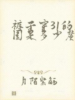 裤子穿31的腰围是多少厘米