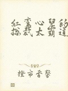 红鸾心儿的闪婚总裁太霸道