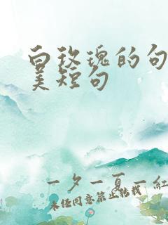 白玫瑰的句子唯美短句