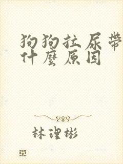 狗狗拉尿带血是什么原因