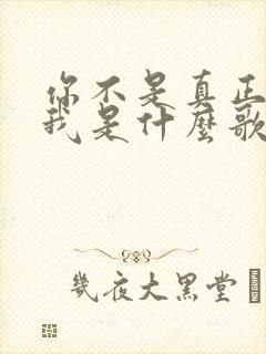 你不是真正的爱我是什么歌