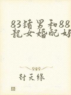 83猪男和88龙女婚配好吗