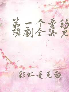 第一个爱的人电视剧全集免费观看