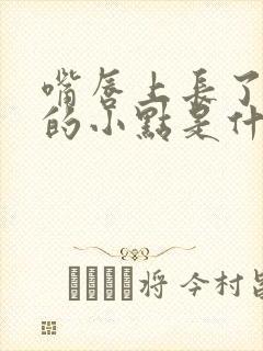 嘴唇上长了白色的小点是什么原因