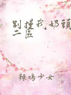 别摸我奶头一区二区