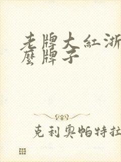 老牌大红浙醋什么牌子