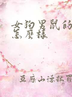 女狗男鼠的姻缘怎么样