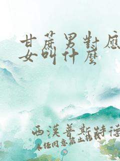 甘蔗男对应的渣女叫什么