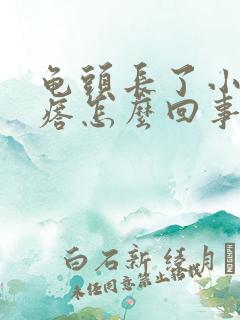 龟头长了小红疙瘩怎么回事