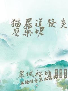 猫尿道发炎吃什么药呢