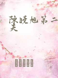 陈晓旭第二任丈夫