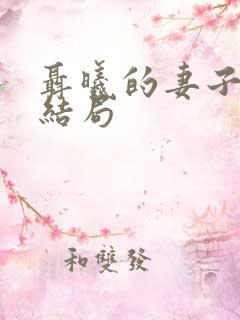 聂曦的妻子阿美结局