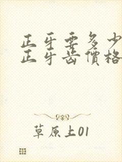 正牙要多少钱 正牙齿价格表