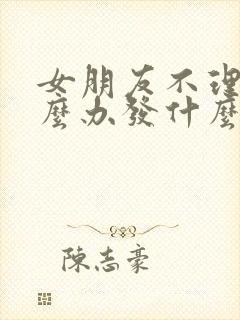 女朋友不理我怎么办发什么消息好