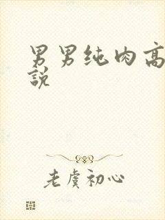 男男纯肉高被小说