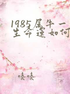 1985属牛一生命运如何