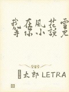 我在风花雪月里等你小说免费