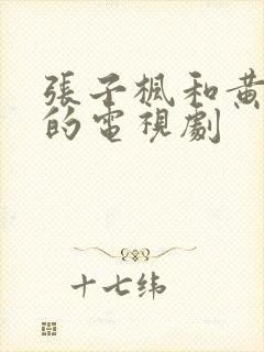 张子枫和黄磊演的电视剧