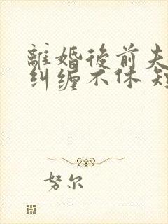 离婚后前夫老公纠缠不休 短剧