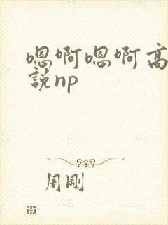 嗯啊嗯啊高h小说np
