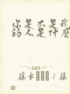 你是不是我最爱的人是什么歌