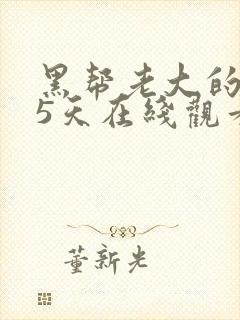 黑帮老大的365天在线观看