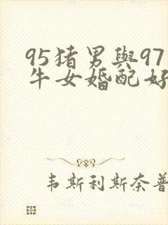 95猪男与97牛女婚配好不好