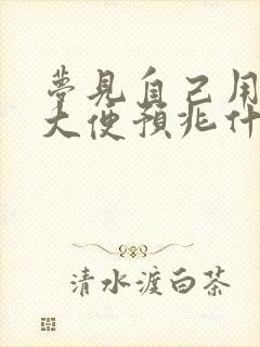 梦见自己用手抓大便预兆什么