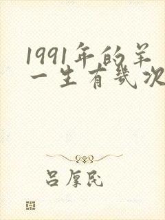 1991年的羊一生有几次婚姻