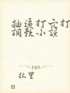 抽逼打穴打屁股调教小说