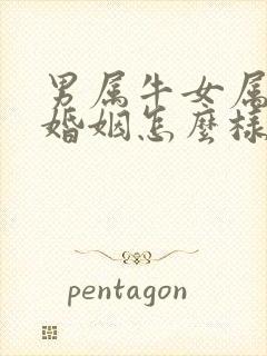 男属牛女属兔的婚姻怎么样