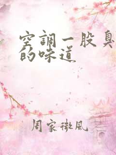 空调一股臭脚丫的味道