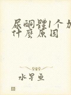 尿酮体1个加号什么原因