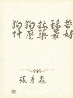 狗狗拉稀带血买什么药最好